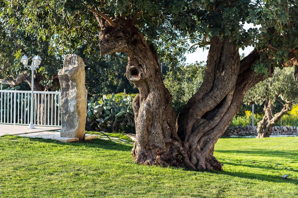 Апартаменти Il Giardino Dei Frangipani Санта-Кроче-Камерина Екстер'єр фото